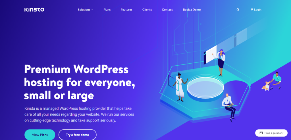 kinsta homepage