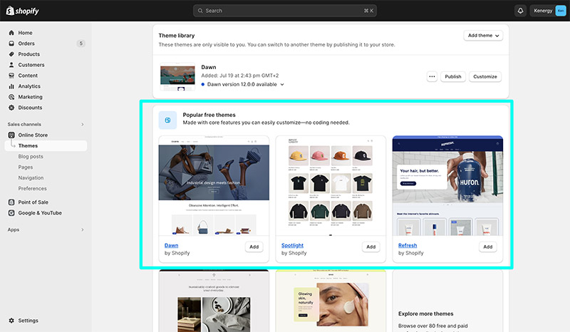 shopify themes section